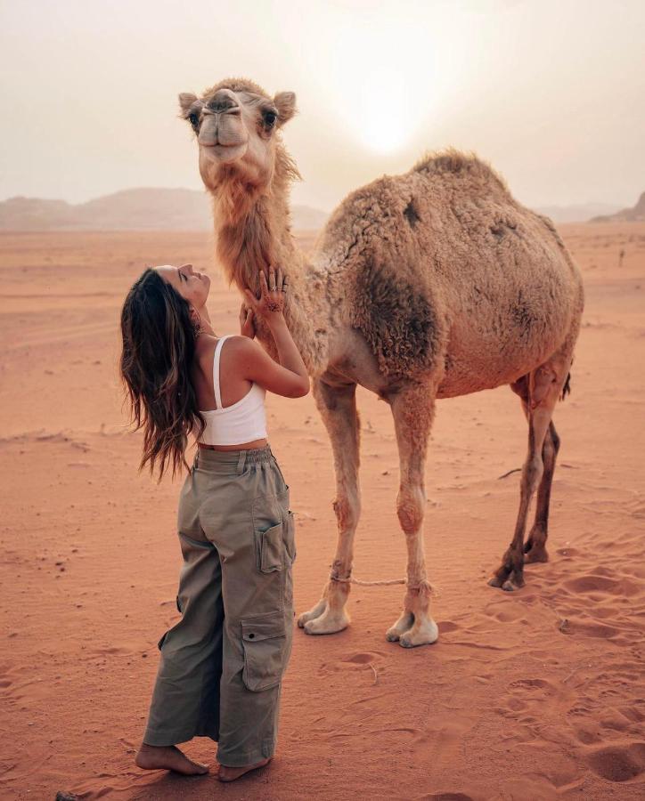 Sun Luxury Camp &Tour Apartment Wadi Rum Ngoại thất bức ảnh