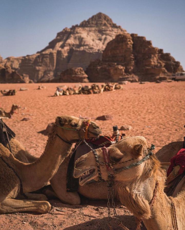 Sun Luxury Camp &Tour Apartment Wadi Rum Ngoại thất bức ảnh